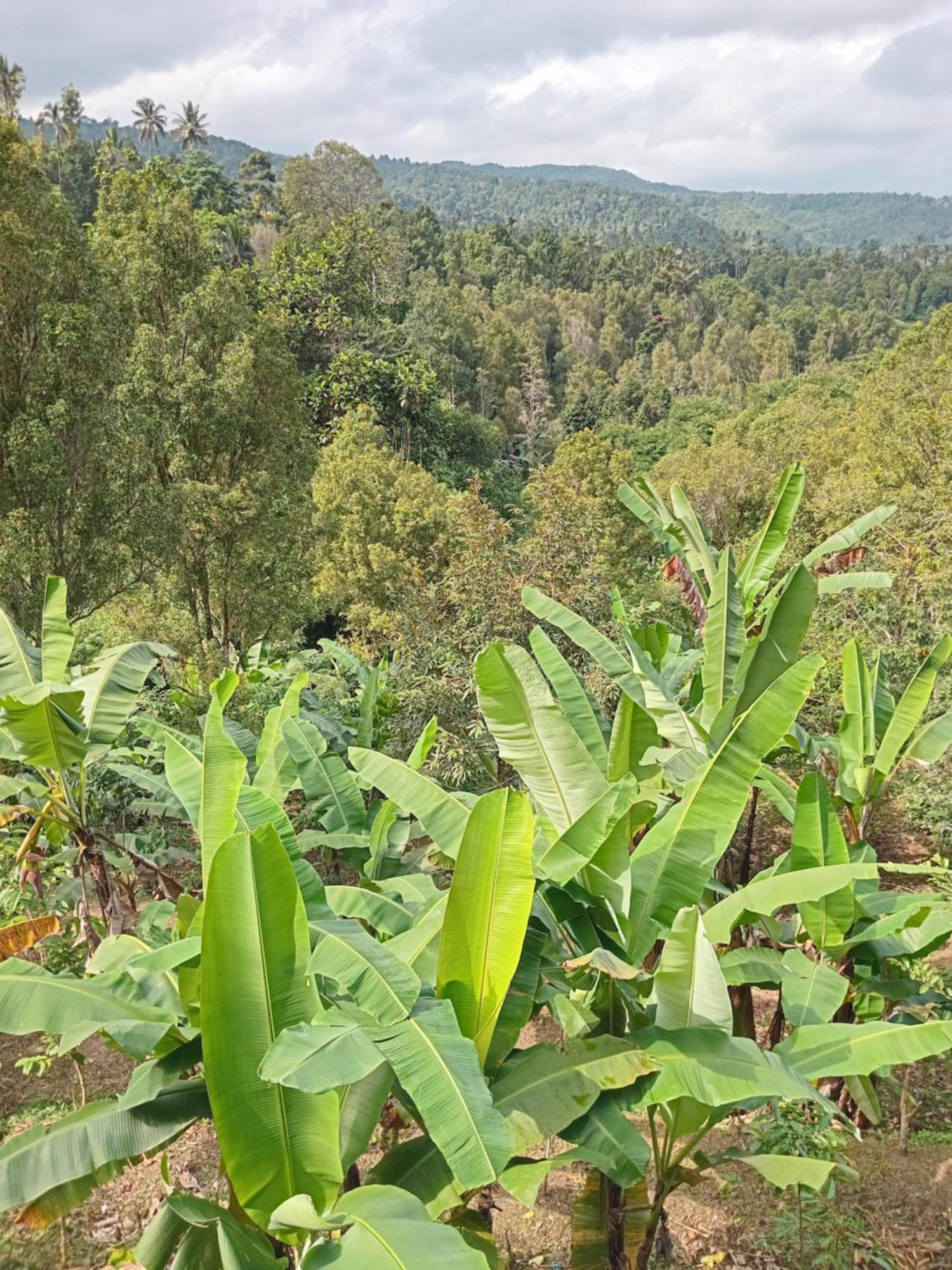 Kanaya Homestay & Warung Heaven Мундук Экстерьер фото